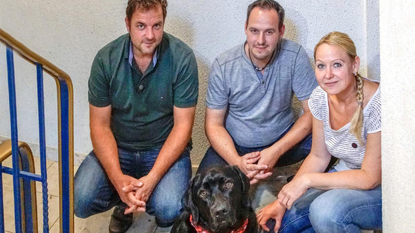 Der Hundeprofi Juni 2019 Archiv Tvnow