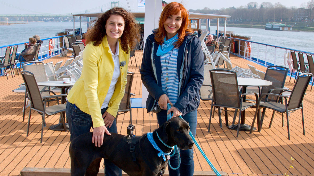 Hundkatzemaus Thema Heute Ua Flusskreuzfahrt Mit Hund