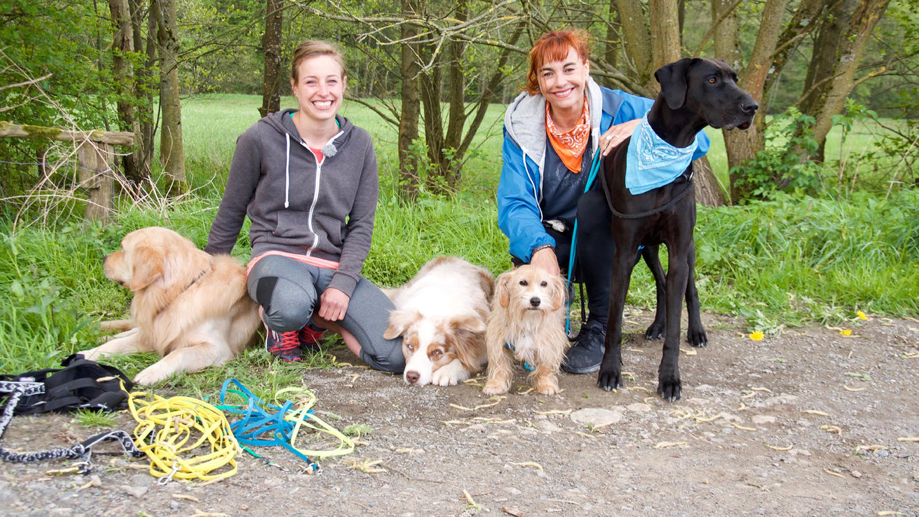 Hundkatzemaus Thema Heute Ua Joggen Mit Hund