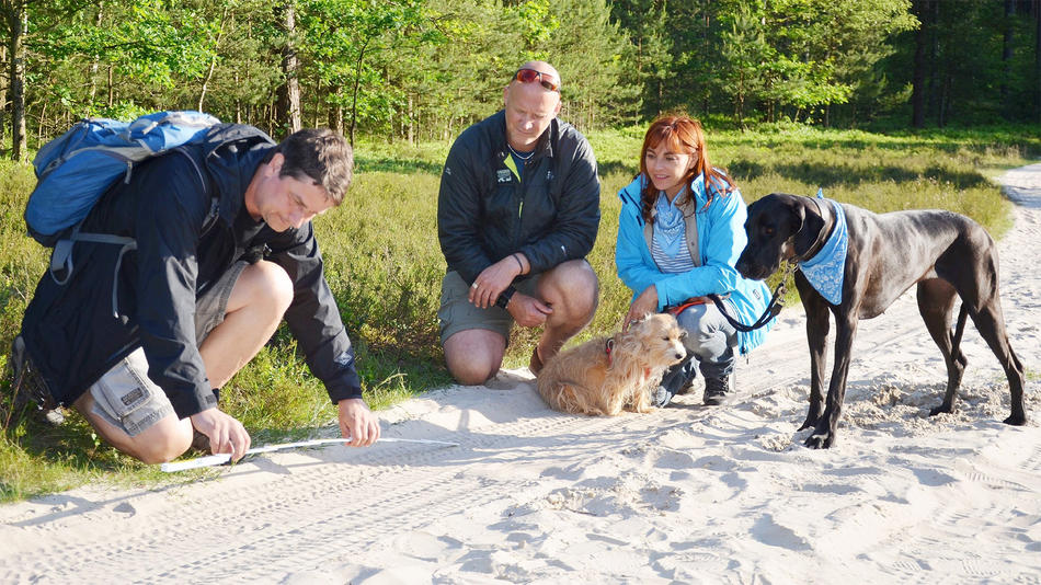 Hundkatzemaus Thema Heute Ua Wölfe In Deutschland