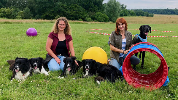 Hundkatzemaus September 2019 Archiv Tvnow