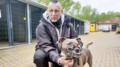 Harte Hunde Ralf Seeger Greift Ein