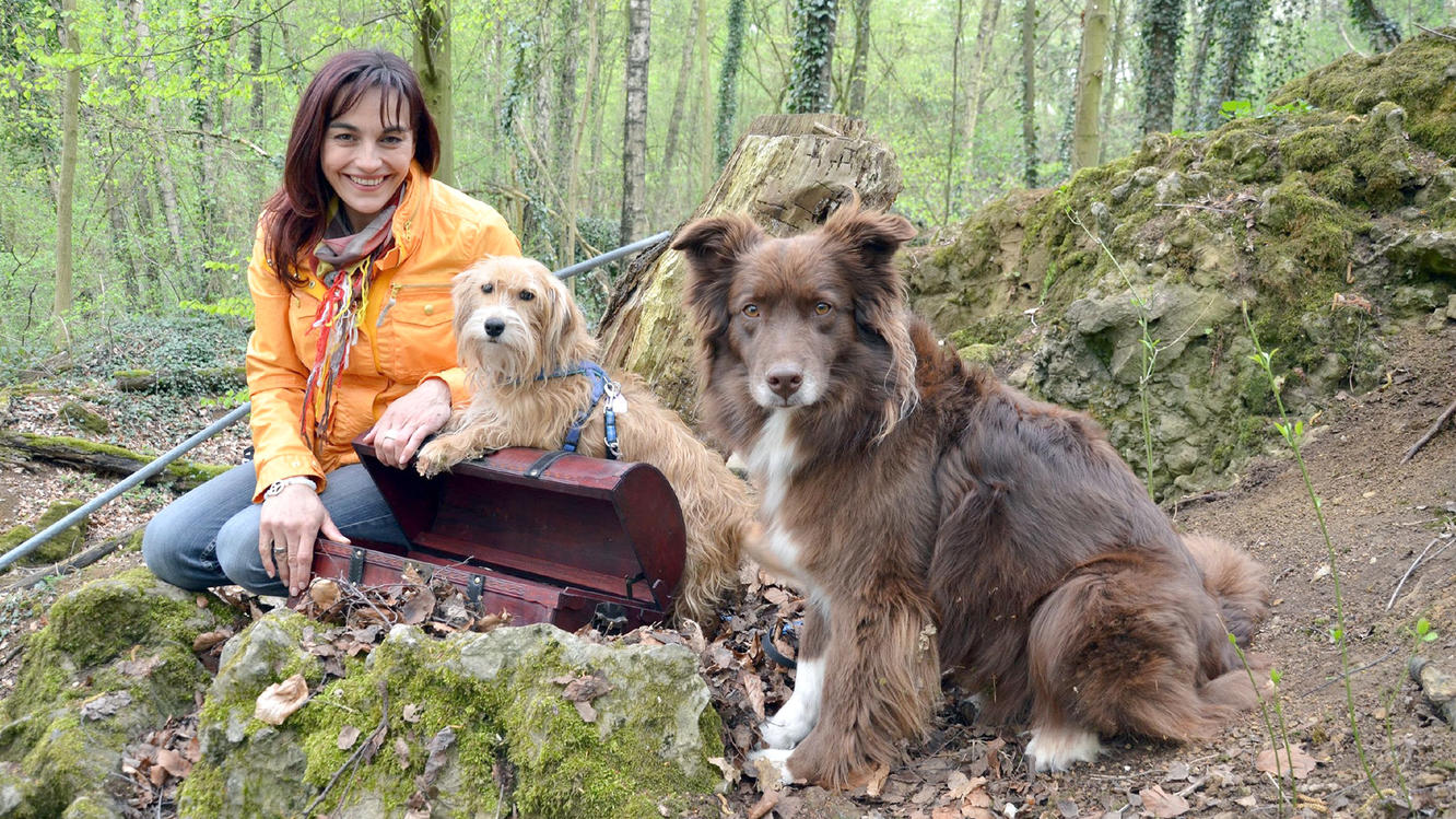 Hundkatzemaus Geodog Schatzsuche Mit Hund